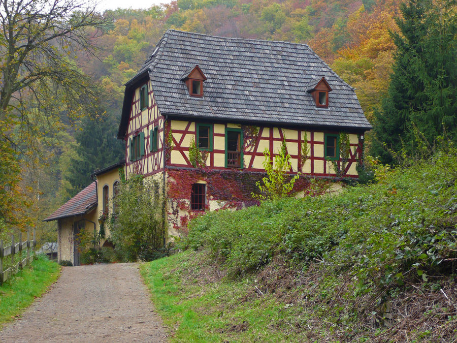 Haus am Wald