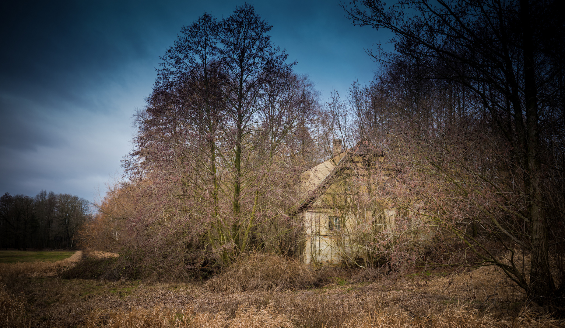 Haus am Wald