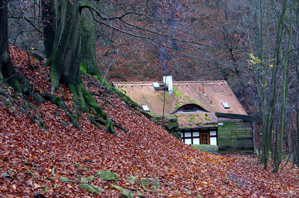 Haus am Wald