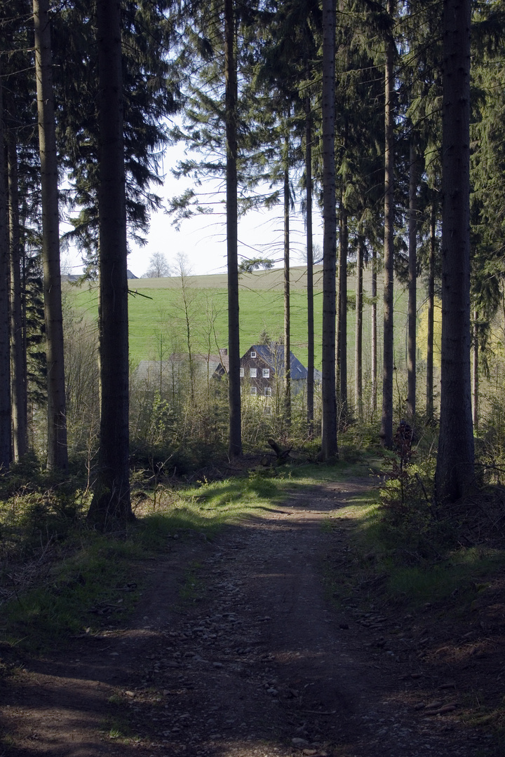 Haus am Wald