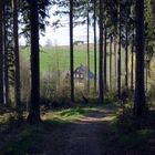 Haus am Wald