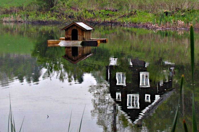 Haus am/in Wasser