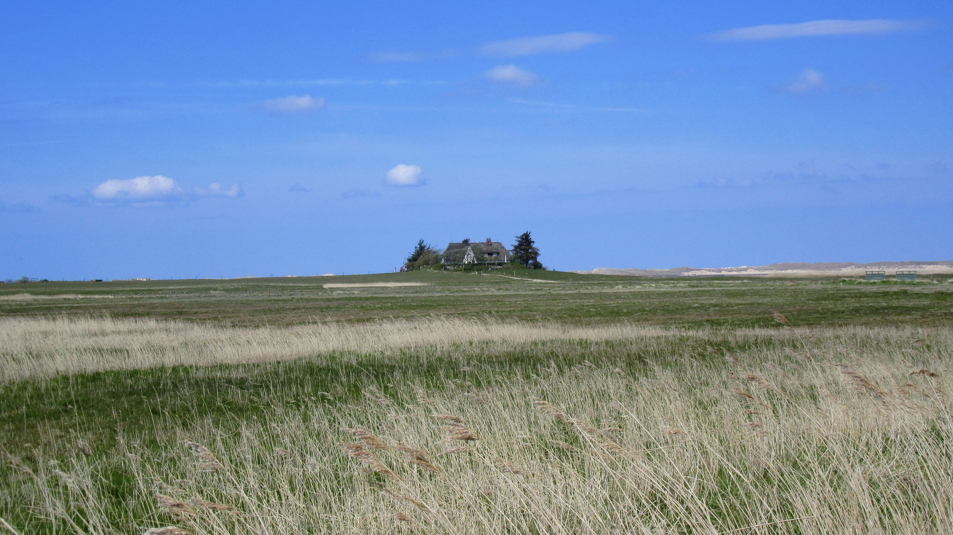 Haus auf Amrum