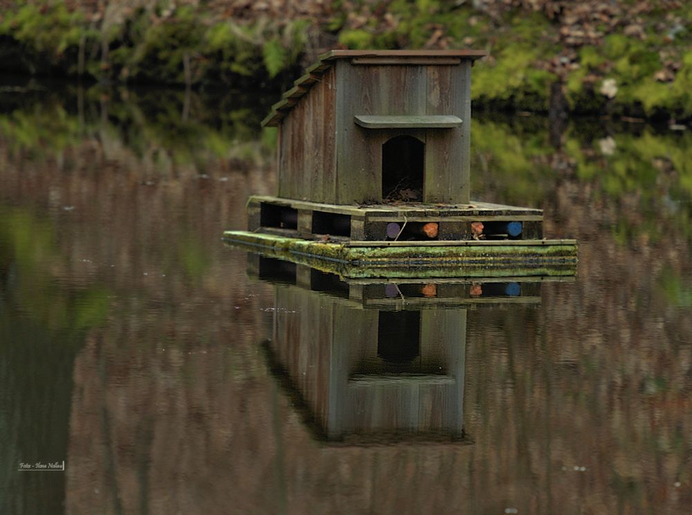  Haus auf dem See