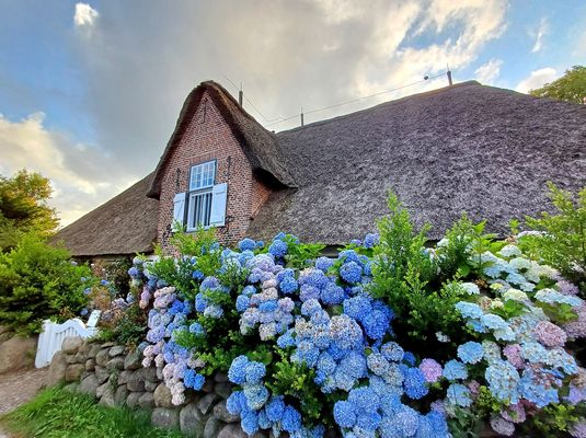 Haus auf Föhr