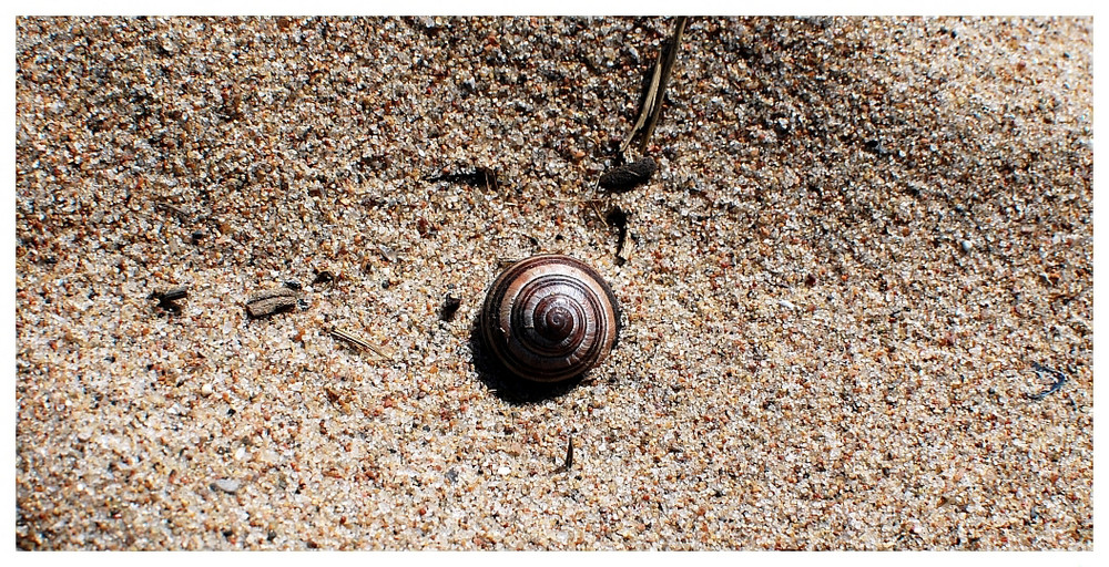 Haus auf Sand...