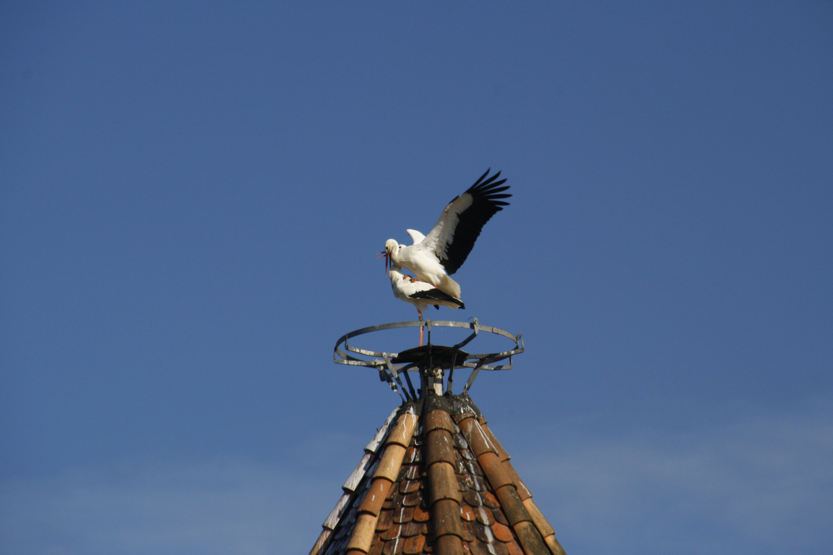 Haus bauen, Baum pflanzen, Kind zeugen oder wie war das wieder ...