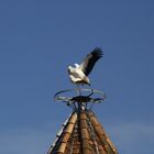 Haus bauen, Baum pflanzen, Kind zeugen oder wie war das wieder ...