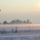 Haus bei Schnee und Nebel!