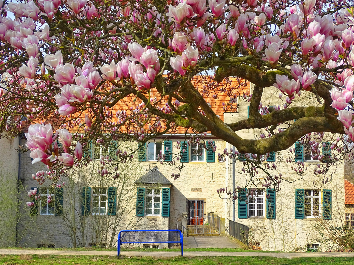 Haus Dellwig unterm Magnolienhimmel!