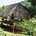 Haus der Embera-Indianer (1)