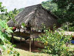 Haus der Embera-Indianer (1)