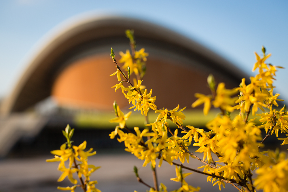 Haus der Kulturen der Welt