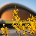 Haus der Kulturen der Welt