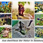 Haus der Natur 1