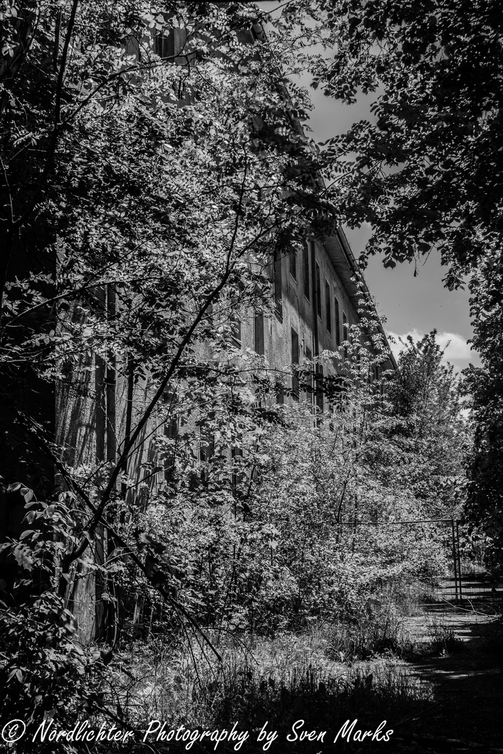 Haus der Offiziere in Wünsdorf Brandenburg