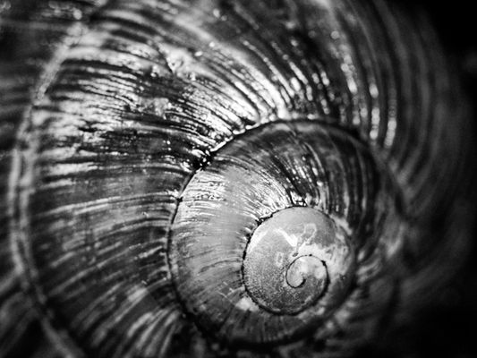 Haus der Struktur und Harmonie