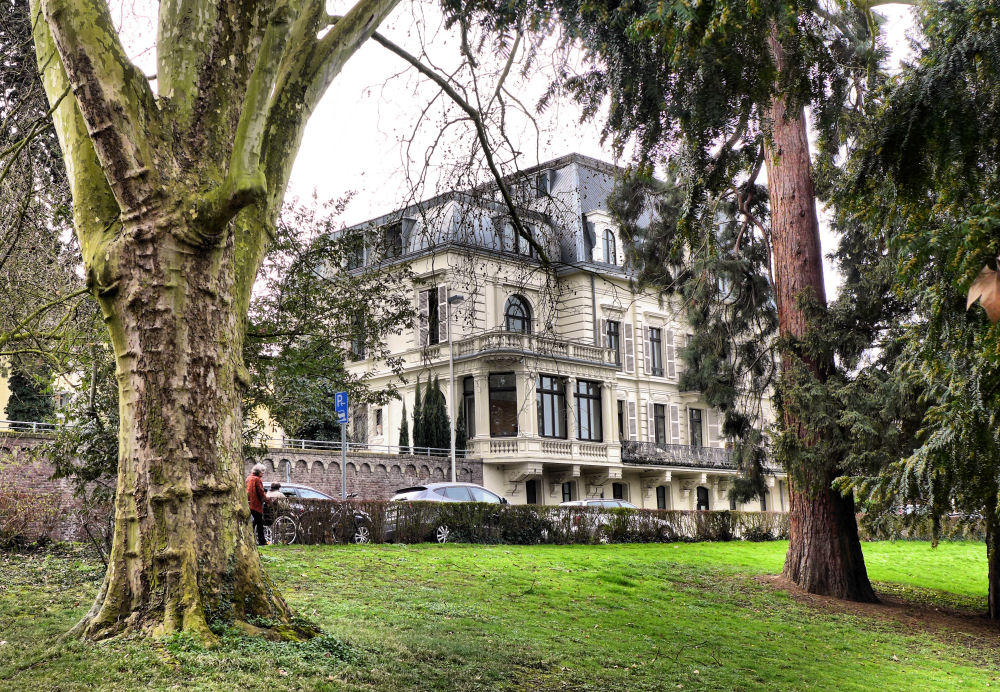 Haus Drachenstein in Bonn-Mehlem