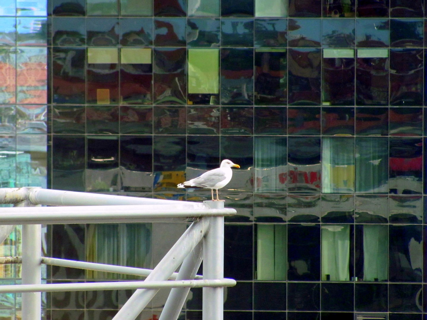 Haus g.....Hochhaus mit Möve 3