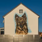 Haus-Hund