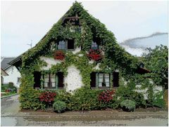 Haus im Breisgau (Kaiserstuhl)