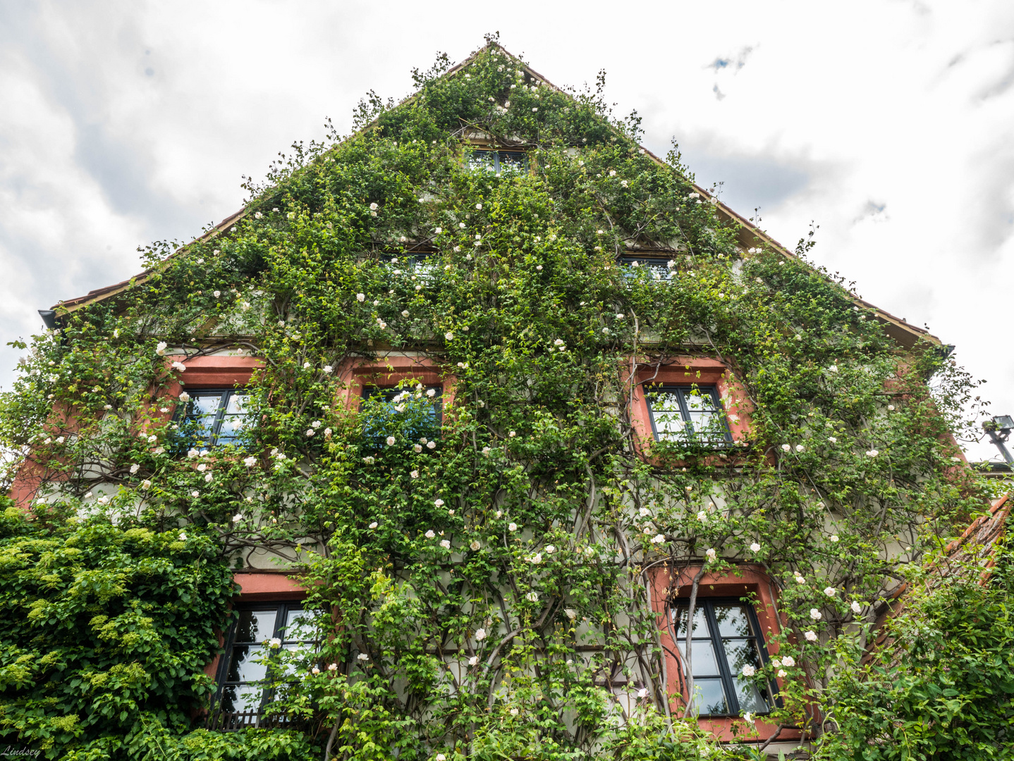 Haus im Dornröschenschlaf