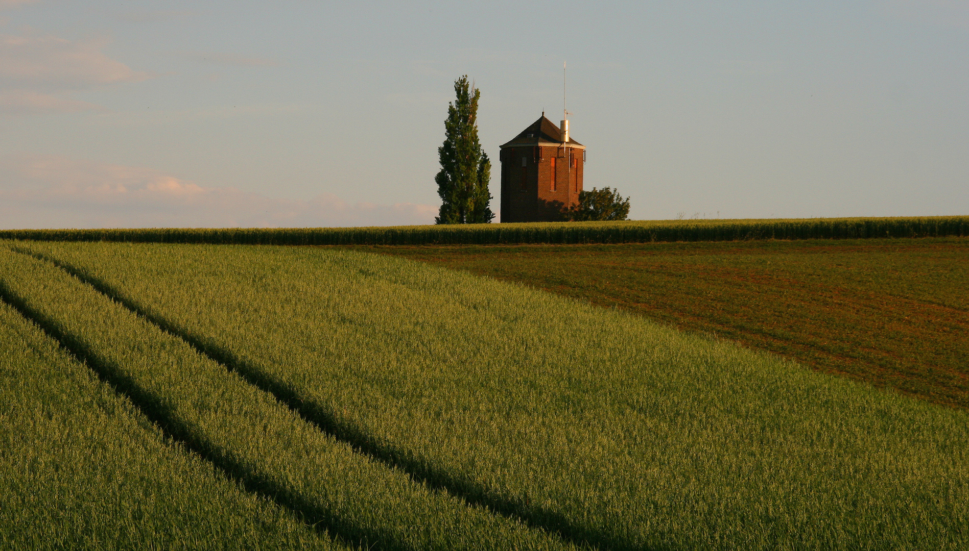 Haus im Feld