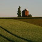 Haus im Feld