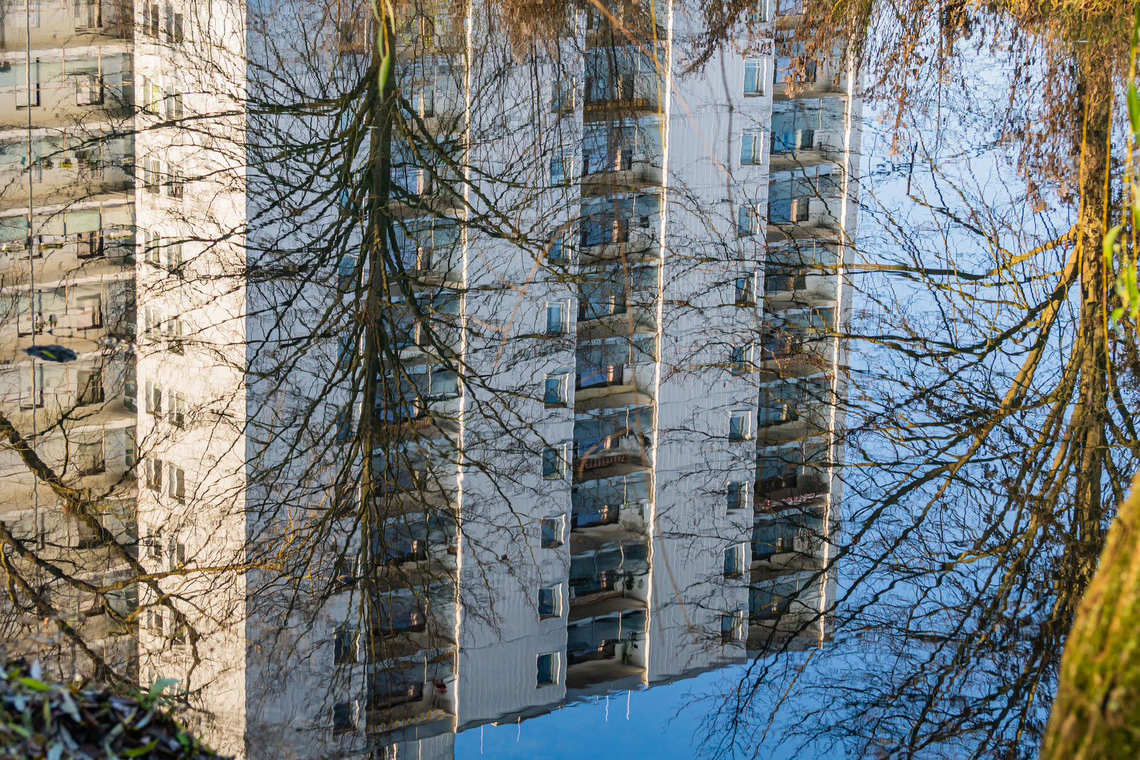 Haus im Fluss - Dienstag ist Spiegeltag