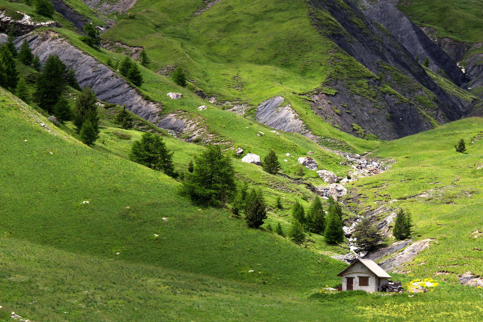 Haus im Fokus