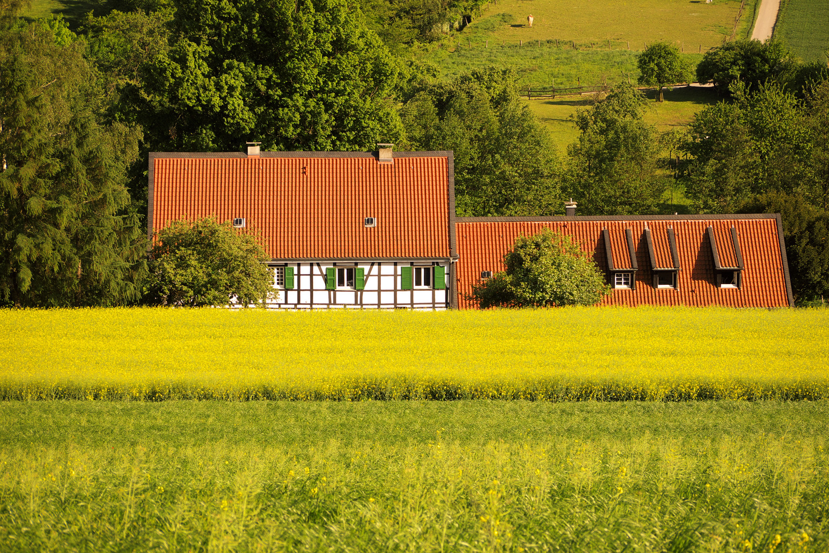 Haus im Frühling