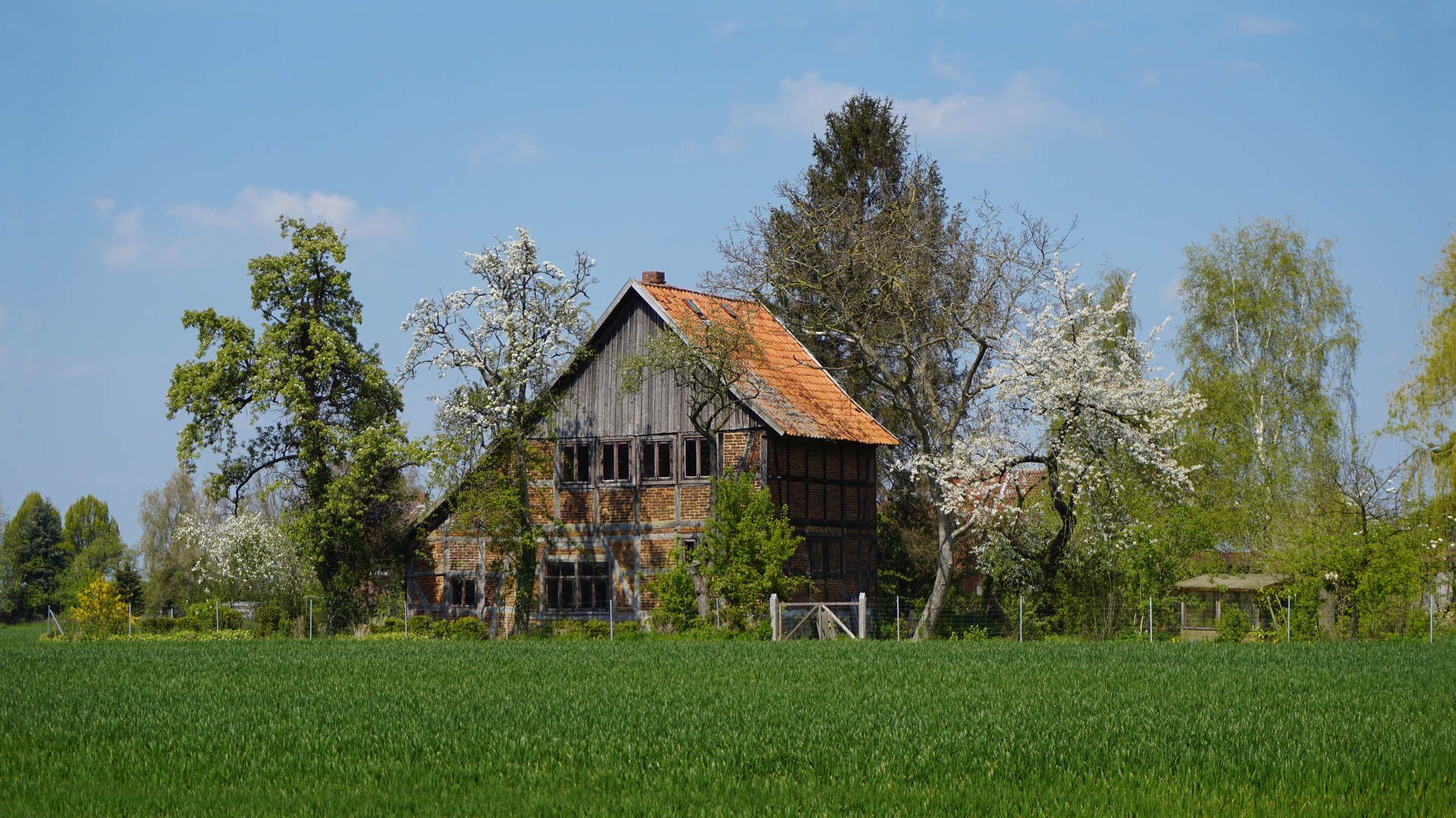 Haus im Grünen