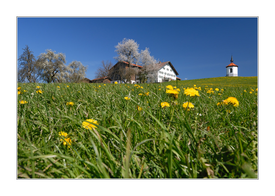 Haus im Grünen