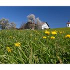 Haus im Grünen