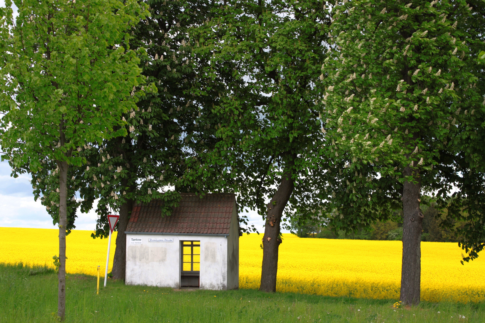 Haus im Grünen