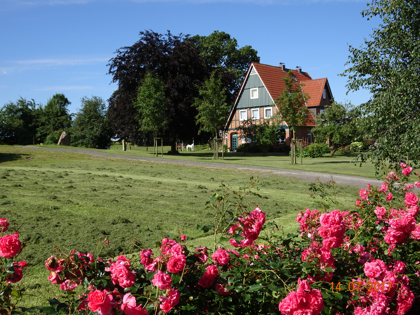 Haus im Grünen Foto & Bild | urlaub, ostsee, natur Bilder ...