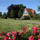 Haus im Grünen