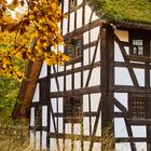 Haus im Herbst