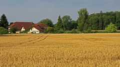 Haus im Kornfeld