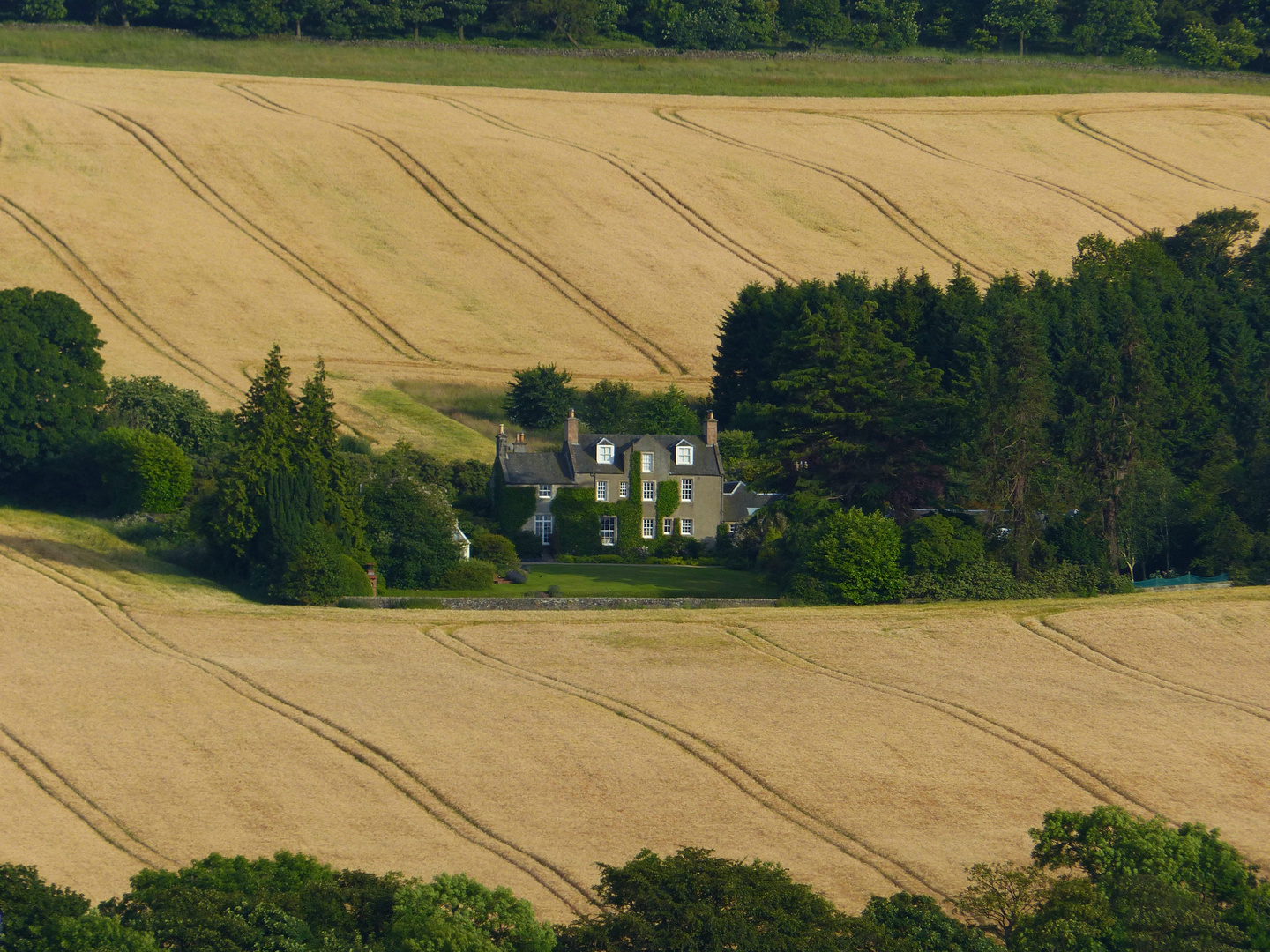 Haus im Kornfeld in Schottland