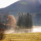 Haus im Morgennebel