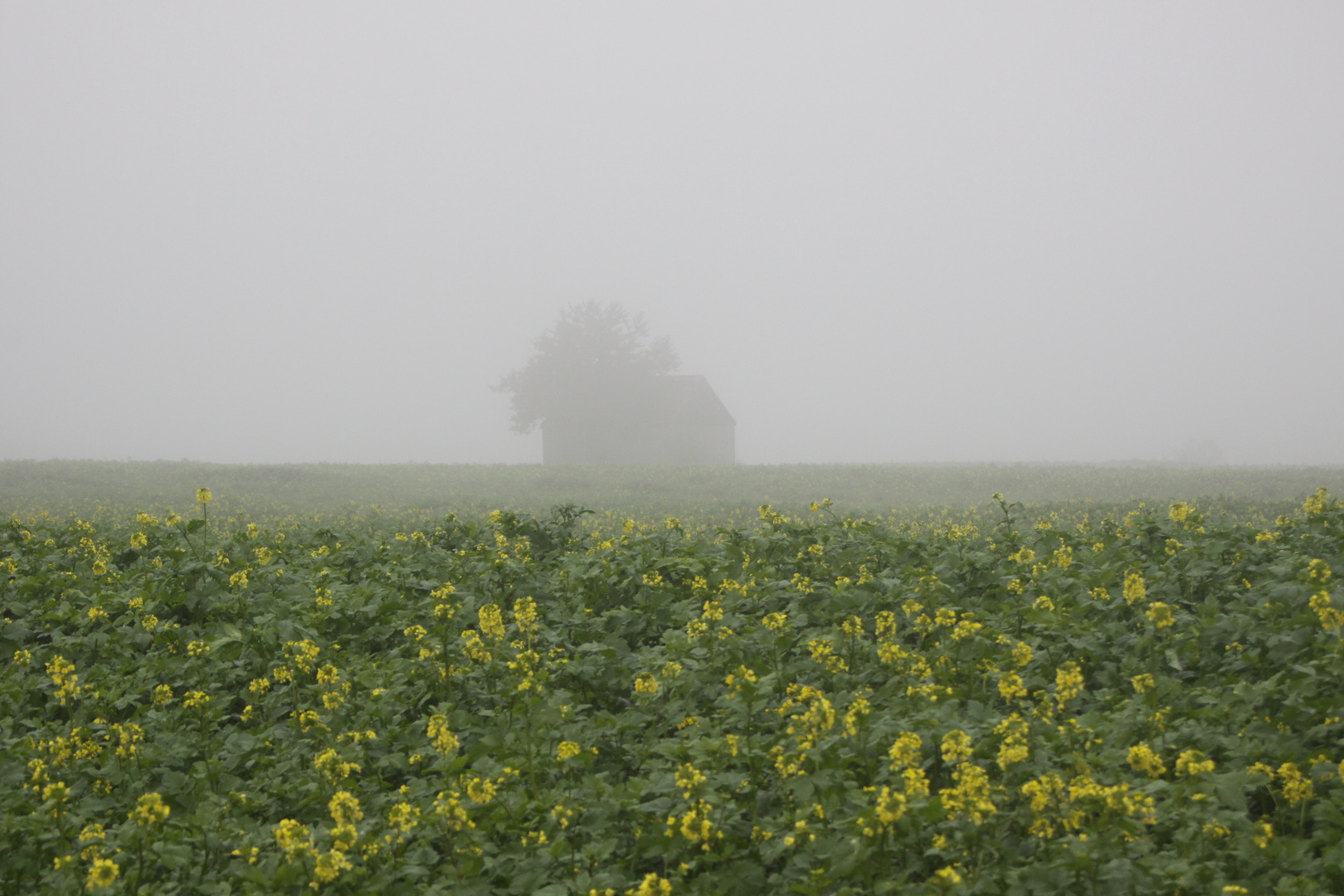 Haus im Nebel