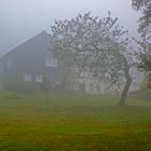 Haus im Nebel