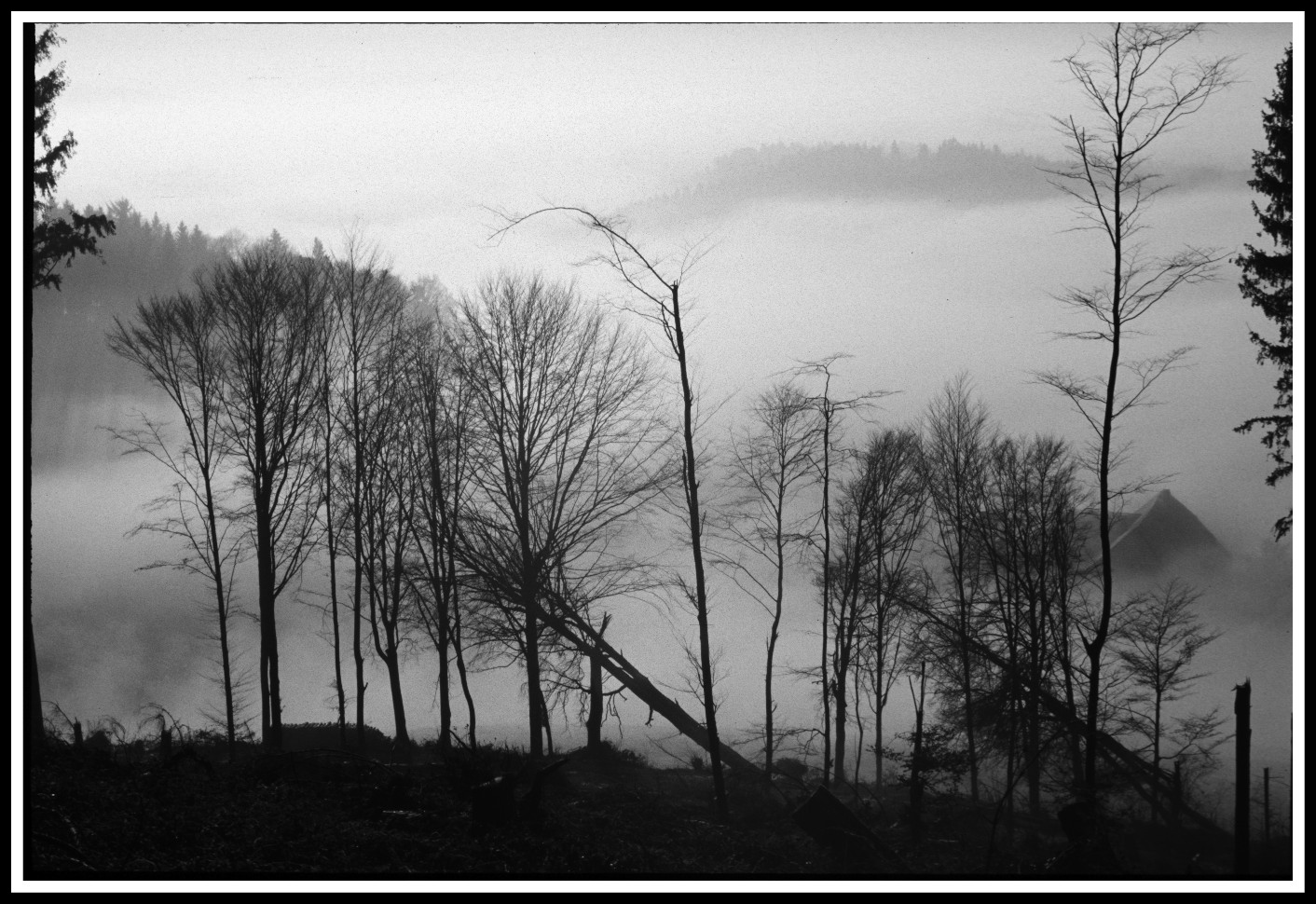 Haus im Nebel