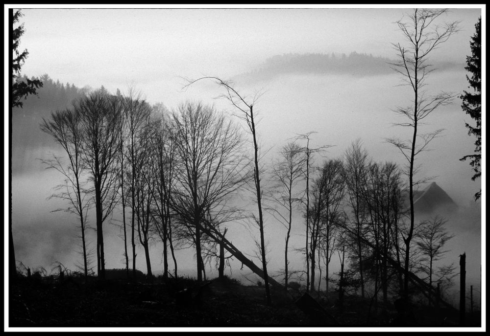 Haus im Nebel