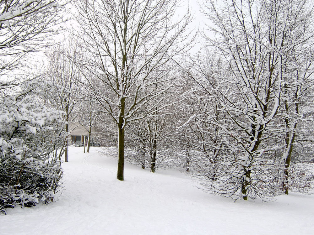 Haus im Schnee...zur Erinnerung