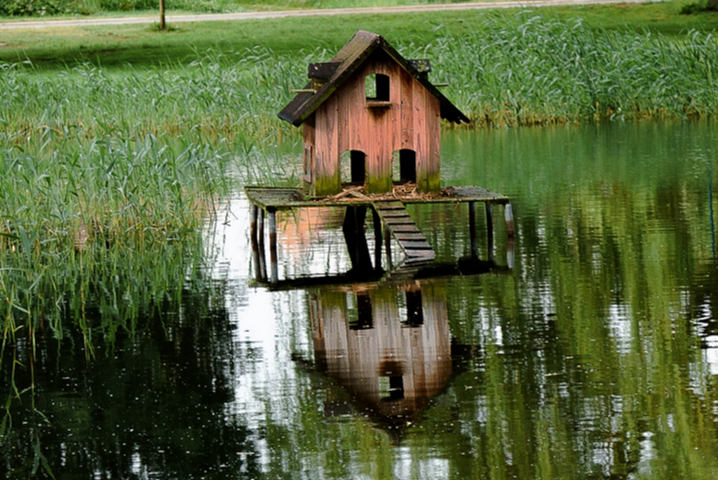Haus im Teich Foto & Bild landschaft, bach, fluss & see, see, teich & tümpel Bilder auf