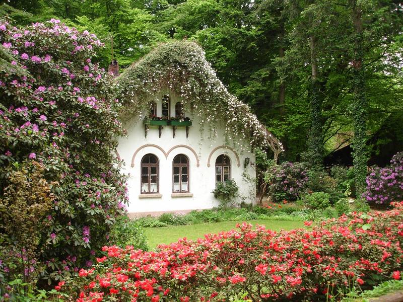 Haus im Wald Foto Bild landschaft wald natur Bilder Haus im Wald Foto Bild landschaft wald natur Bilder