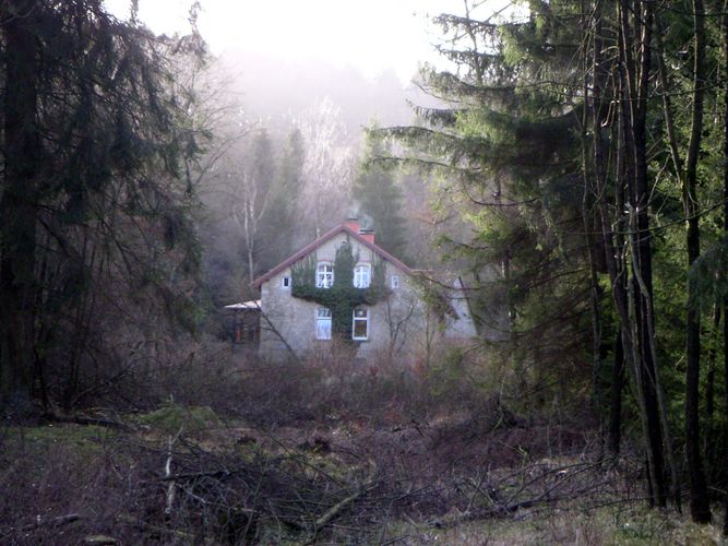 Haus im Wald