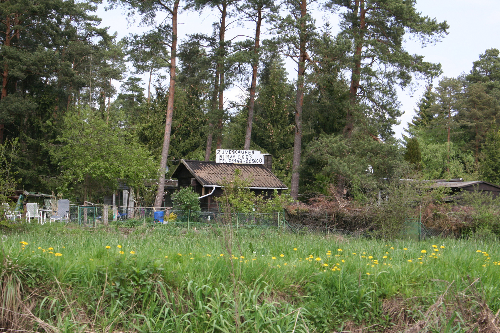 Haus im Wald